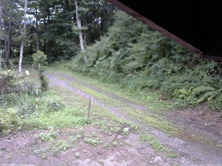 長野県菅平高原 ゆたか山荘 東側(坂下) 2025/08/05 13:15
