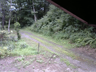 長野県菅平高原 ゆたか山荘 東側(坂下) 2025/08/05 13:45