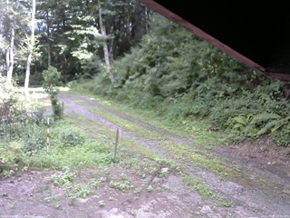 長野県菅平高原 ゆたか山荘 東側(坂下) 2025/08/05 14:00
