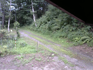長野県菅平高原 ゆたか山荘 東側(坂下) 2025/08/05 14:15