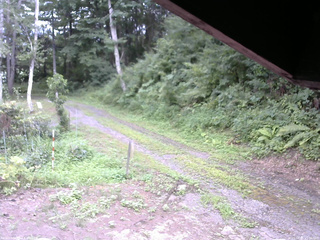 長野県菅平高原 ゆたか山荘 東側(坂下) 2025/08/05 15:00