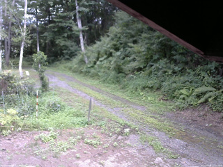 長野県菅平高原 ゆたか山荘 東側(坂下) 2025/08/05 15:15