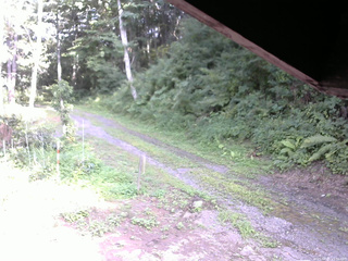長野県菅平高原 ゆたか山荘 東側(坂下) 2025/08/05 15:30