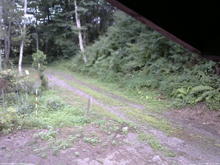 長野県菅平高原 ゆたか山荘 東側(坂下) 2025/08/05 16:00