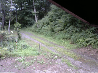 長野県菅平高原 ゆたか山荘 東側(坂下) 2025/08/05 16:30