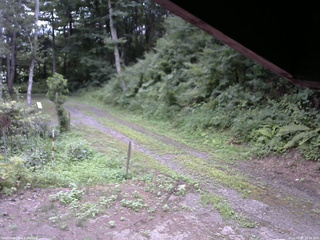 長野県菅平高原 ゆたか山荘 東側(坂下) 2025/08/05 16:45