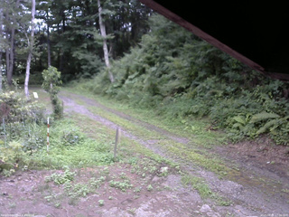 長野県菅平高原 ゆたか山荘 東側(坂下) 2025/08/05 17:00
