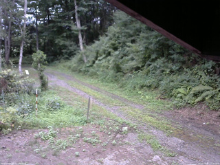 長野県菅平高原 ゆたか山荘 東側(坂下) 2025/08/05 17:30