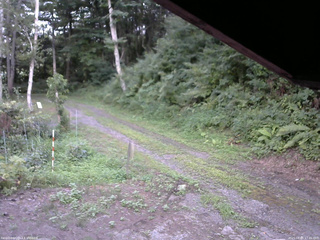 長野県菅平高原 ゆたか山荘 東側(坂下) 2025/08/05 17:45