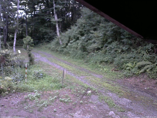 長野県菅平高原 ゆたか山荘 東側(坂下) 2025/08/05 18:45