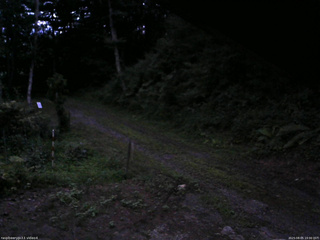 長野県菅平高原 ゆたか山荘 東側(坂下) 2025/08/05 19:00