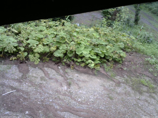 長野県菅平高原 ゆたか山荘 駐車場 2025/08/05 07:15