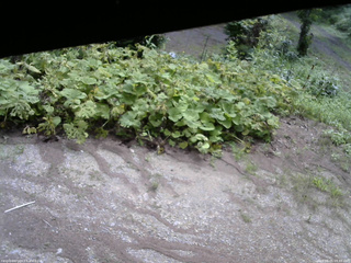 長野県菅平高原 ゆたか山荘 駐車場 2025/08/05 09:45