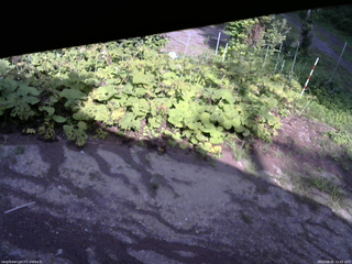 長野県菅平高原 ゆたか山荘 駐車場 2025/08/05 15:45