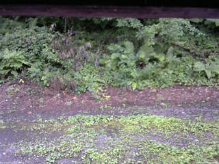 長野県菅平高原 ゆたか山荘 南側 2025/08/06 07:15