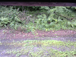 長野県菅平高原 ゆたか山荘 南側 2025/08/06 07:30