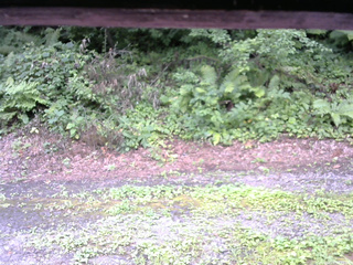 長野県菅平高原 ゆたか山荘 南側 2025/08/06 08:45