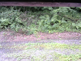 長野県菅平高原 ゆたか山荘 南側 2025/08/06 09:30