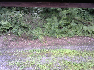 長野県菅平高原 ゆたか山荘 南側 2025/08/06 11:00