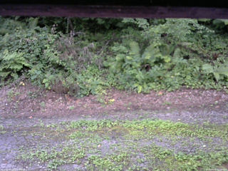 長野県菅平高原 ゆたか山荘 南側 2025/08/06 12:15