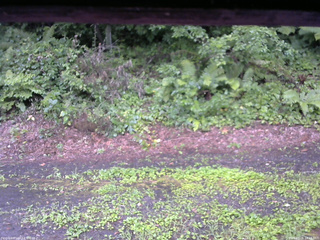 長野県菅平高原 ゆたか山荘 南側 2025/08/06 14:15