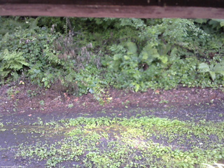 長野県菅平高原 ゆたか山荘 南側 2025/08/06 14:45