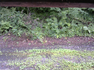 長野県菅平高原 ゆたか山荘 南側 2025/08/06 15:30