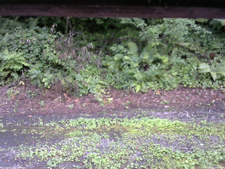 長野県菅平高原 ゆたか山荘 南側 2025/08/06 15:45