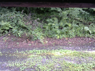 長野県菅平高原 ゆたか山荘 南側 2025/08/06 16:00