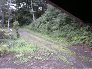 長野県菅平高原 ゆたか山荘 東側(坂下) 2025/08/06 07:15