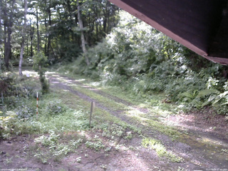 長野県菅平高原 ゆたか山荘 東側(坂下) 2025/08/06 07:45