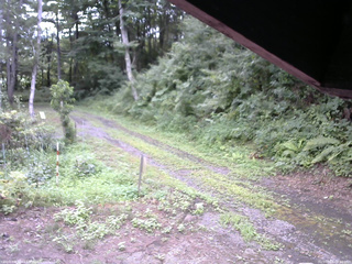 長野県菅平高原 ゆたか山荘 東側(坂下) 2025/08/06 08:00