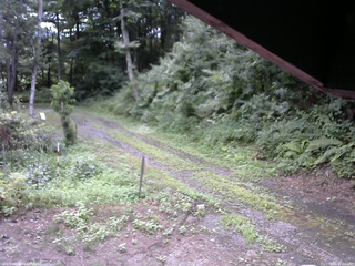長野県菅平高原 ゆたか山荘 東側(坂下) 2025/08/06 08:15