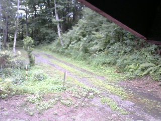 長野県菅平高原 ゆたか山荘 東側(坂下) 2025/08/06 08:30