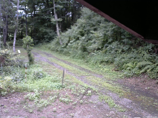 長野県菅平高原 ゆたか山荘 東側(坂下) 2025/08/06 08:45
