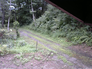 長野県菅平高原 ゆたか山荘 東側(坂下) 2025/08/06 09:00