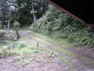 長野県菅平高原 ゆたか山荘 東側(坂下) 2025/08/06 09:45