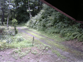 長野県菅平高原 ゆたか山荘 東側(坂下) 2025/08/06 10:00