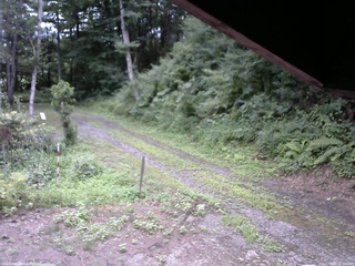 長野県菅平高原 ゆたか山荘 東側(坂下) 2025/08/06 10:30