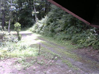 長野県菅平高原 ゆたか山荘 東側(坂下) 2025/08/06 10:45