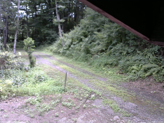 長野県菅平高原 ゆたか山荘 東側(坂下) 2025/08/06 11:00