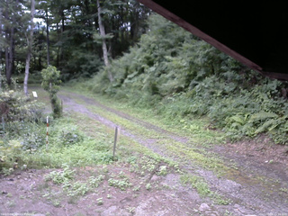 長野県菅平高原 ゆたか山荘 東側(坂下) 2025/08/06 11:15