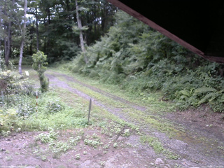 長野県菅平高原 ゆたか山荘 東側(坂下) 2025/08/06 11:30