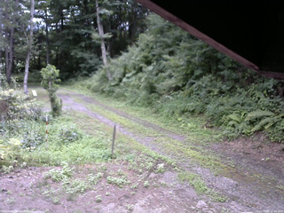 長野県菅平高原 ゆたか山荘 東側(坂下) 2025/08/06 12:00