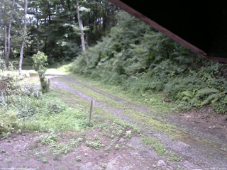 長野県菅平高原 ゆたか山荘 東側(坂下) 2025/08/06 12:30