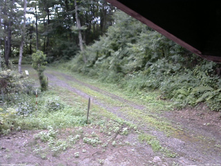 長野県菅平高原 ゆたか山荘 東側(坂下) 2025/08/06 13:00