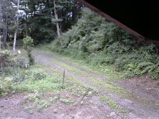 長野県菅平高原 ゆたか山荘 東側(坂下) 2025/08/06 13:15