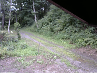 長野県菅平高原 ゆたか山荘 東側(坂下) 2025/08/06 13:30