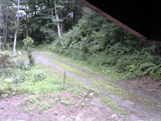 長野県菅平高原 ゆたか山荘 東側(坂下) 2025/08/06 13:45