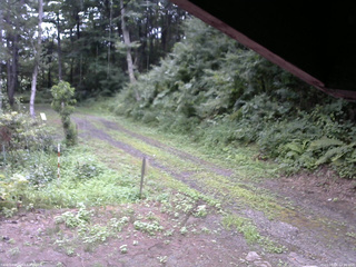 長野県菅平高原 ゆたか山荘 東側(坂下) 2025/08/06 14:00